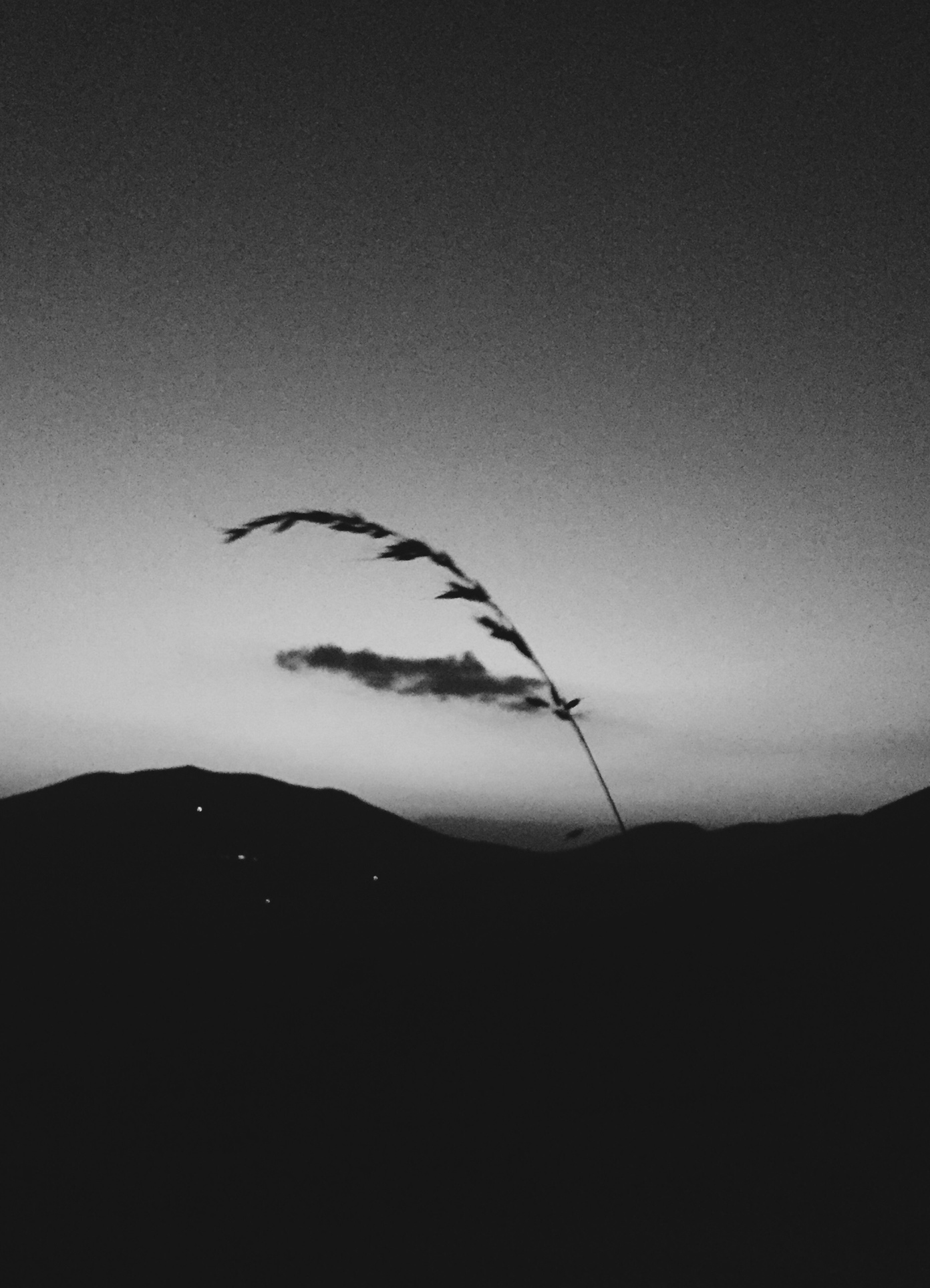 Processed with VSCO with b5 preset