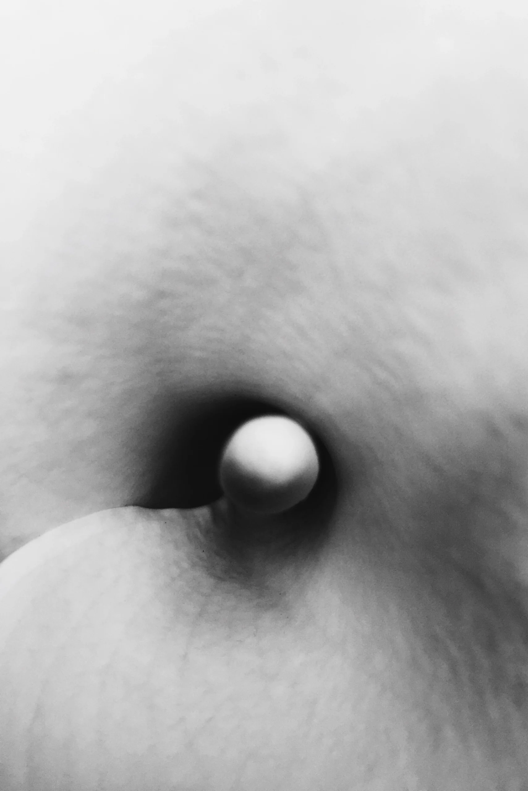 calla_3